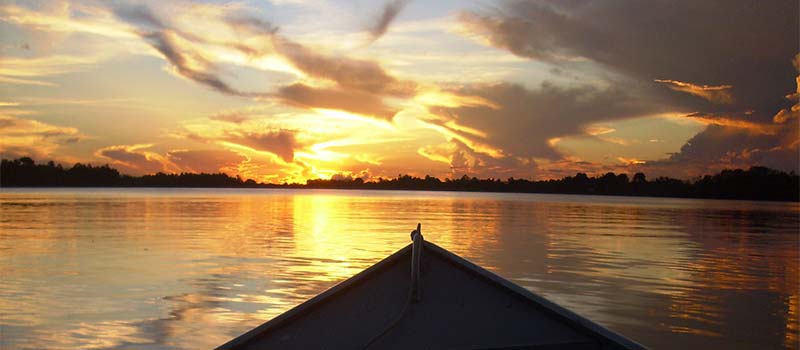 Unvergessliche Eindrücke im Amazonas-Urwald