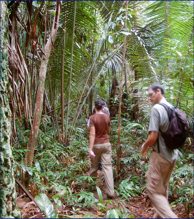 Überlebenstraining im Urwald